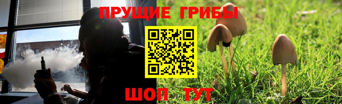Псилоцибиновые грибы мицелий  Вход с VPN  Отрадное 
